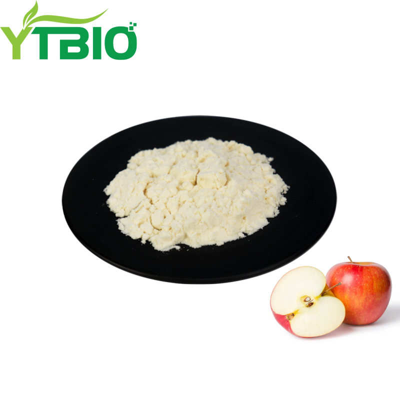 Apple Fruit Powder